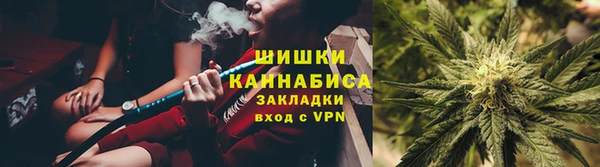 ПСИЛОЦИБИНОВЫЕ ГРИБЫ Бородино